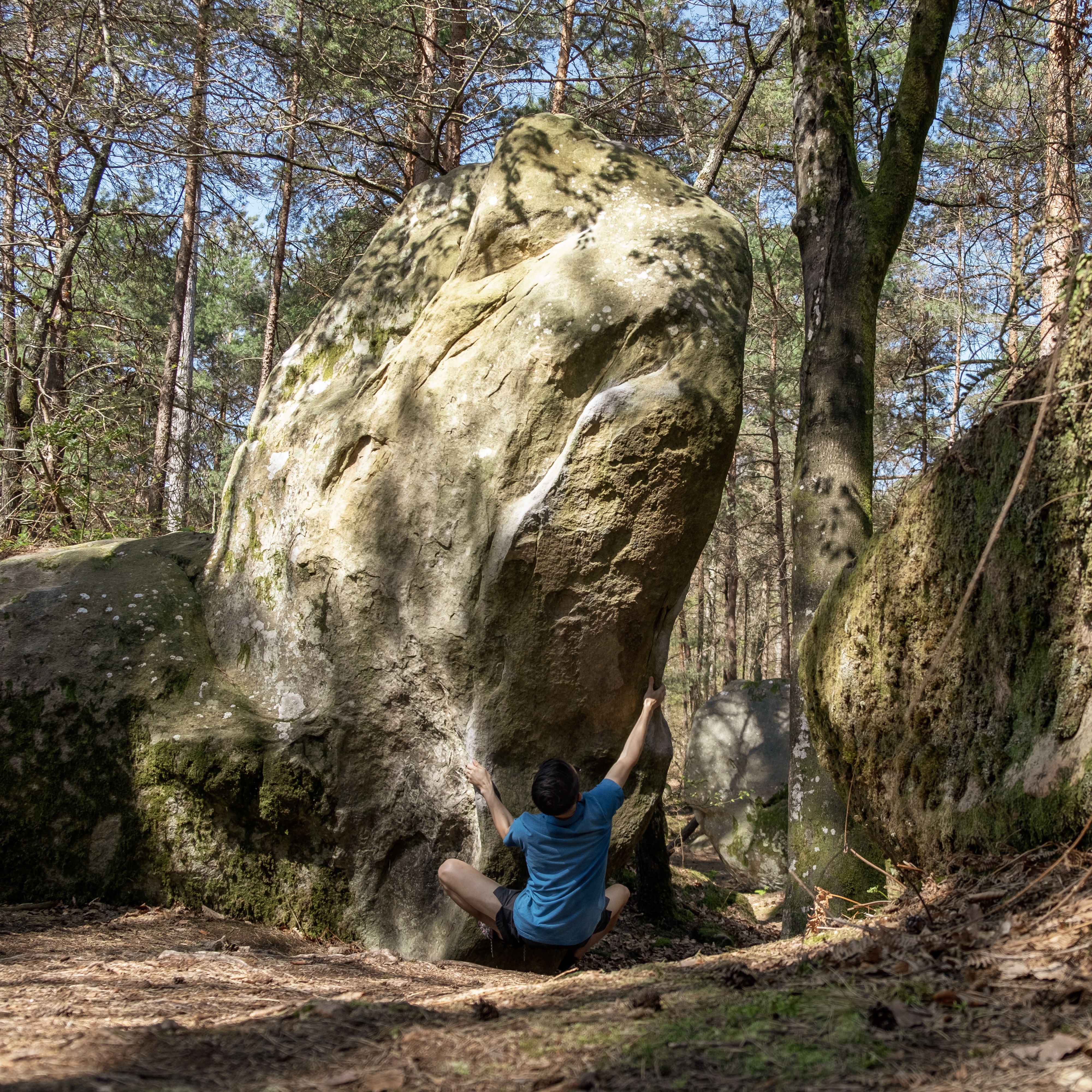Climbing in Fontainebleau France