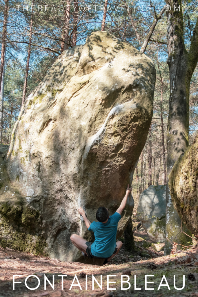 Climbing in Fontainebleau France