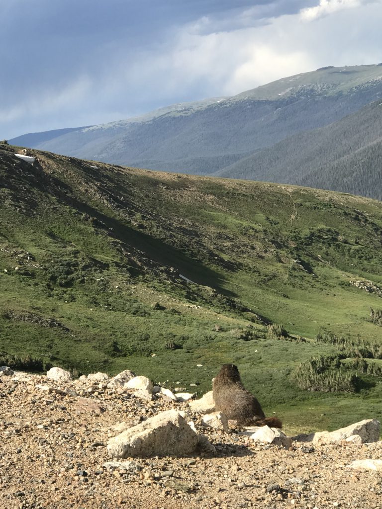 Best Hikes in Rocky Mountain National Park