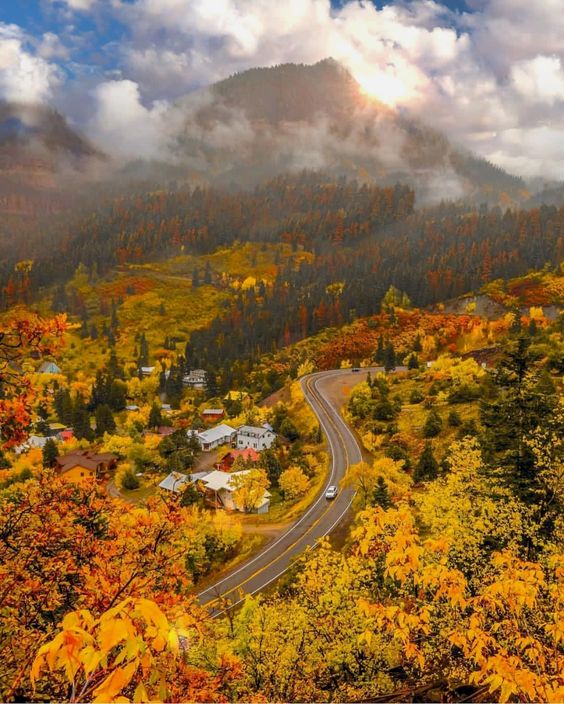 Fall Foliage in Colorado | The Beauty of Traveling